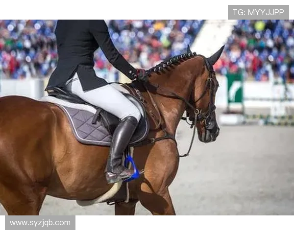 仁川亚运会跳马(仁川亚运会马术)世界杯体育论坛