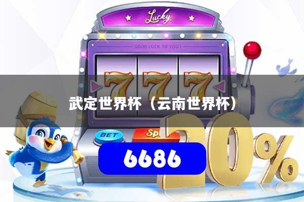 武定世界杯（云南世界杯）