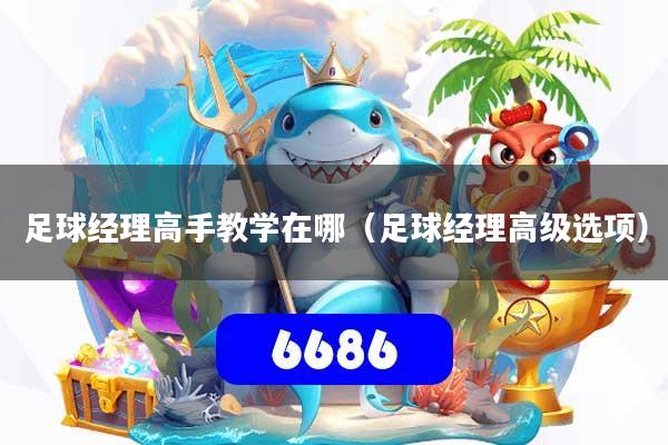 足球经理高手教学在哪（足球经理高级选项）